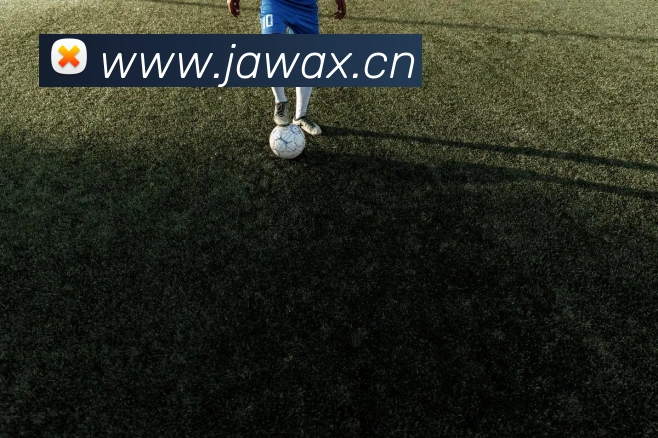 九游体育手机官网服务体系